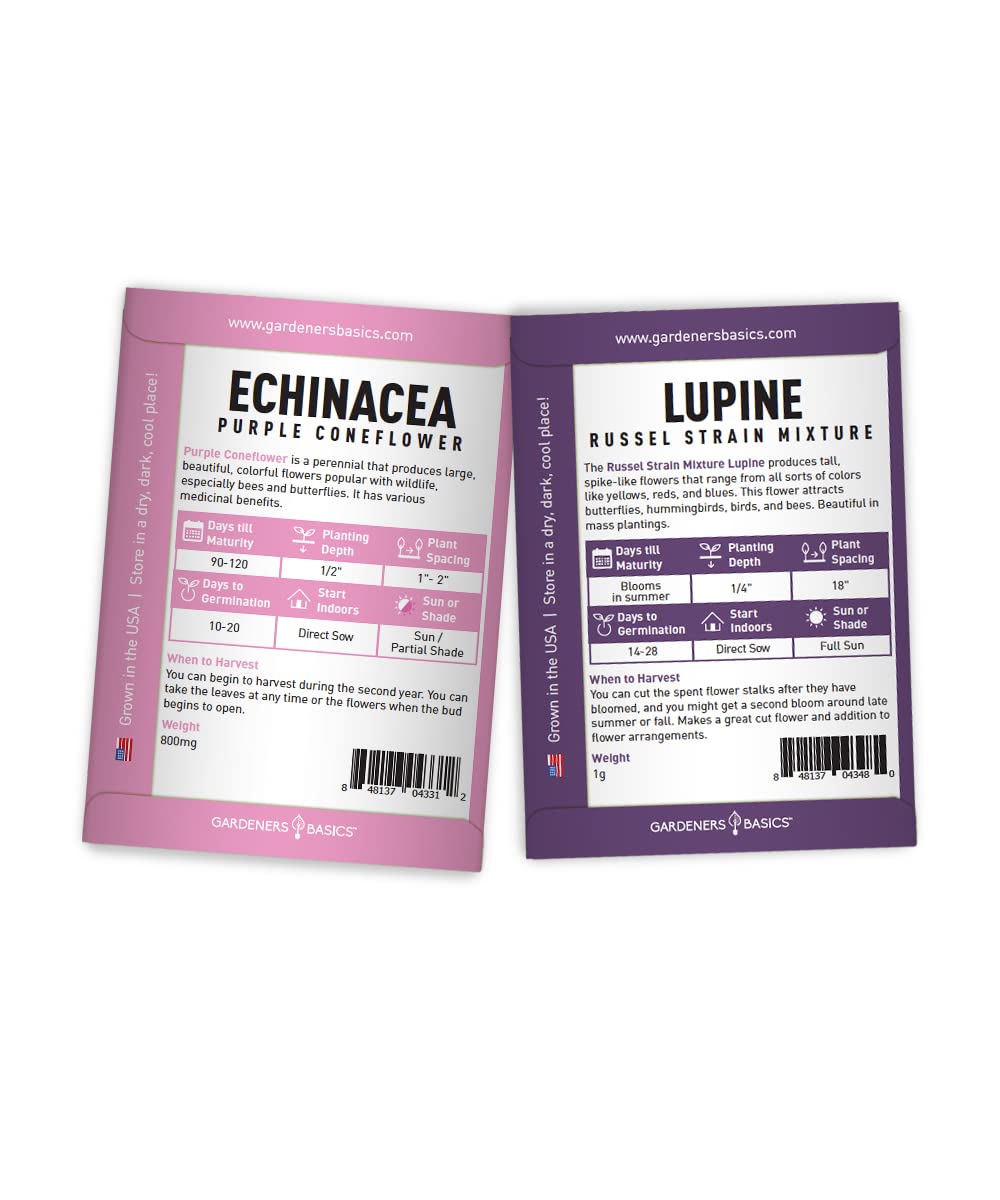 Gardeners Basics echinacea purple coneflower provides late-summer color and butterfly-friendly nectar.