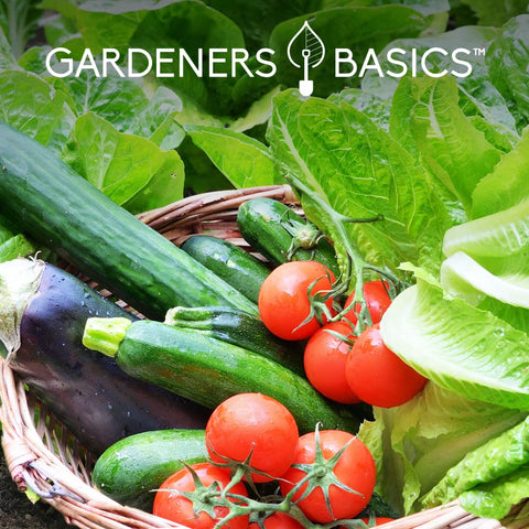Gardeners Basics seeds with high germination for forgiving growing conditions