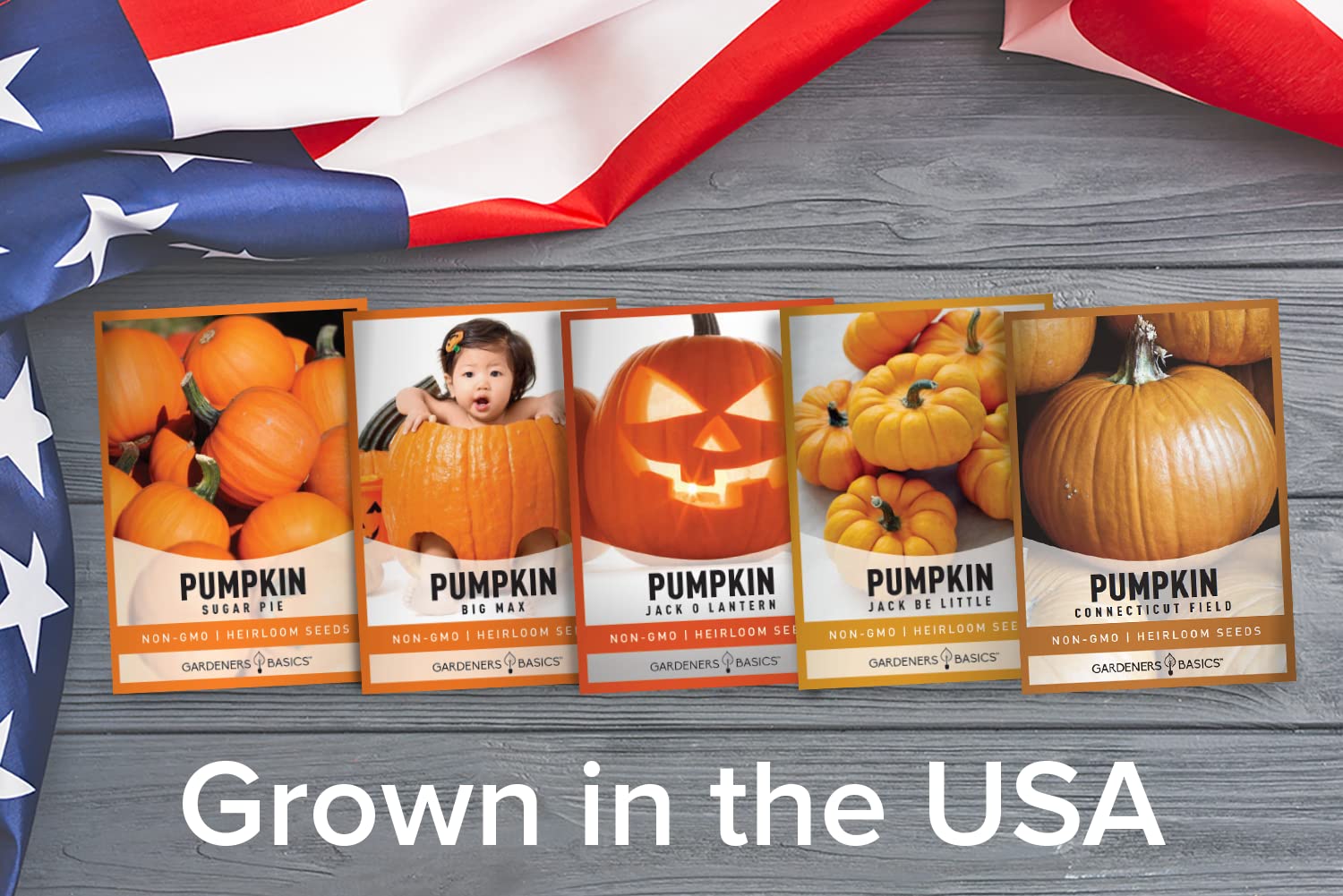 Gardeners Basics Giant Big Max pumpkin seeds for a dramatic large harvest.