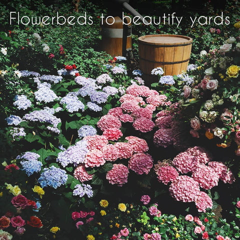 Gardeners Basics giftable seed assortment for gardeners