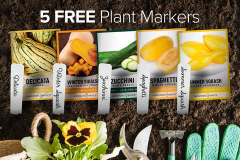 Gardeners Basics Golden Crookneck squash seeds packet for vibrant summer harvest