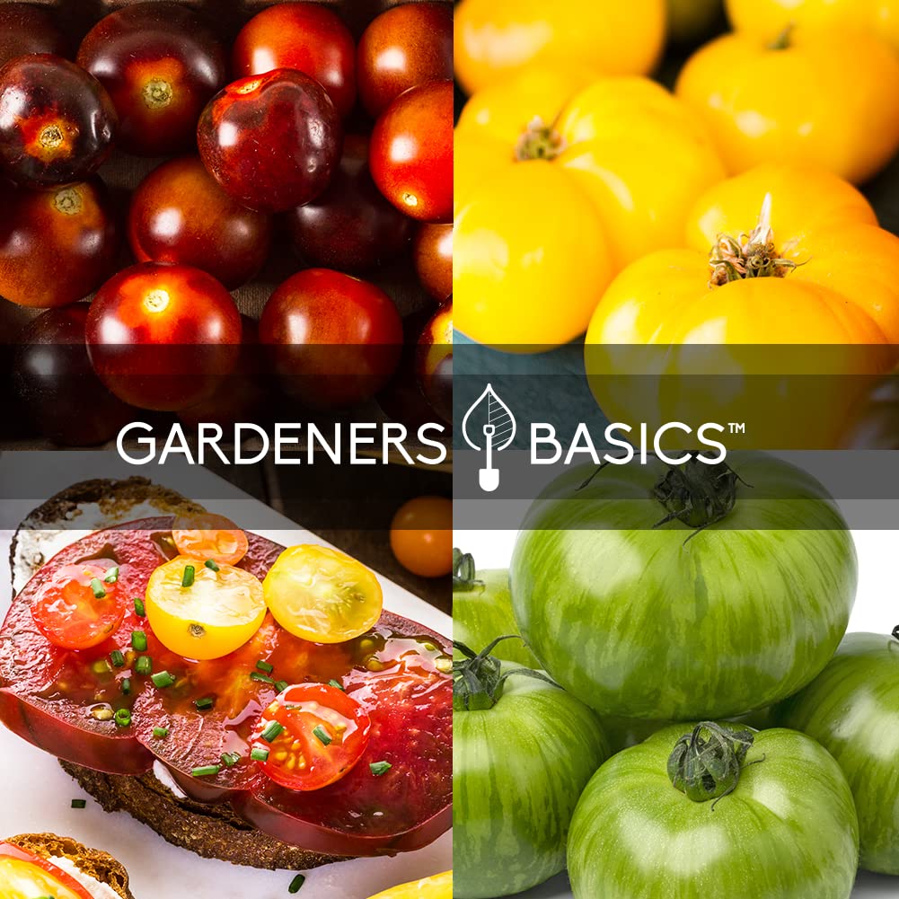 Gardeners Basics Green Zebra seeds for tart, striped tomatoes in fresh salads.