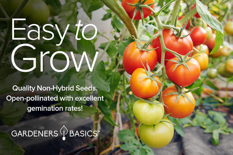 Gardeners Basics Green Zebra seeds offer striped, tangy fruit.