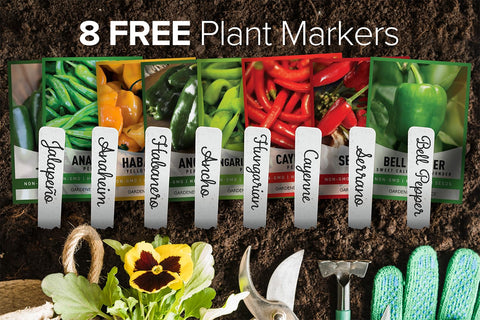 Gardeners Basics habanero pepper seeds for hot peppers in warm summer dishes