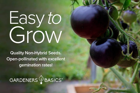 Gardeners Basics heirloom seed pack showing five-variety selection.