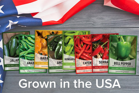 Gardeners Basics jalapeño pepper seeds ideal for fresh salsa and peppers all season