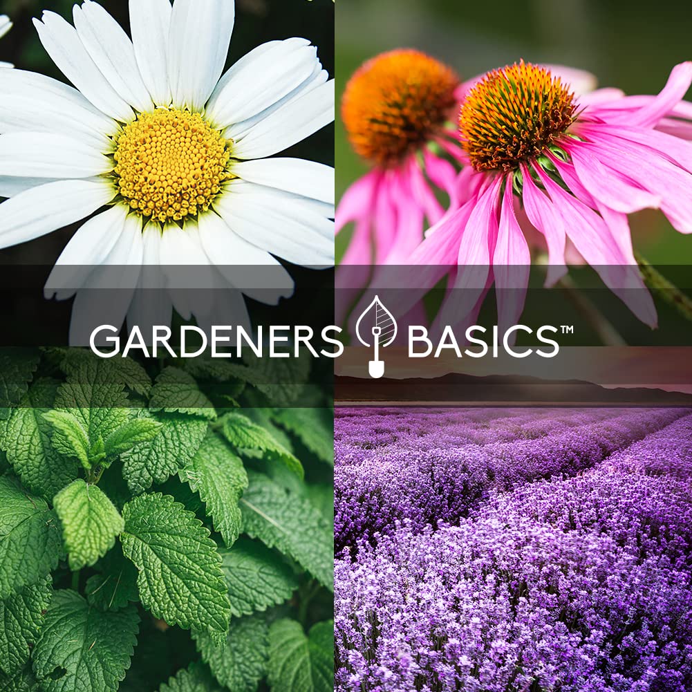 Gardeners Basics lemon balm seeds for citrusy notes in tea.