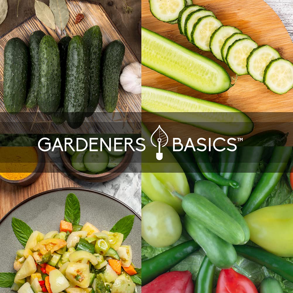 Gardeners Basics Lemon cucumber seeds for sweet, bright salads