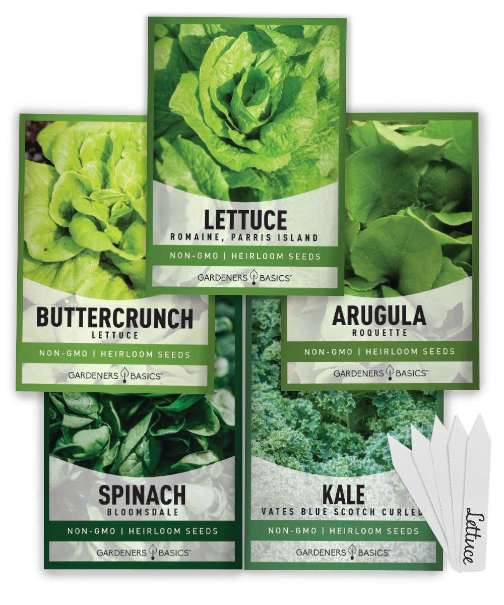 Gardeners Basics Lettuce Buttercrunch seed packets ready for planting