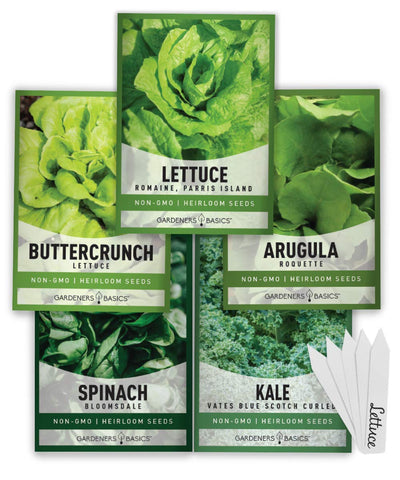 Gardeners Basics Lettuce Buttercrunch seed packets ready for planting