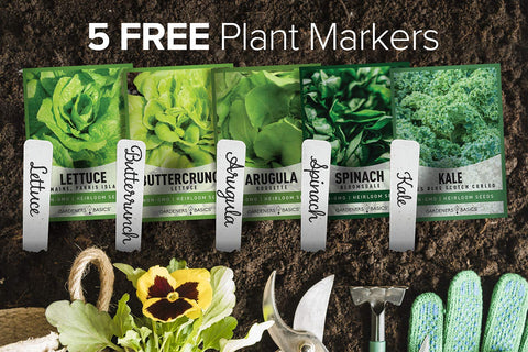 Gardeners Basics Lettuce Romaine Parris Island seeds ready for year‑round salads