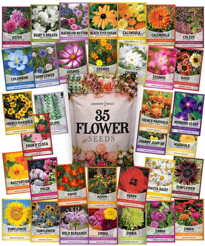 Gardeners Basics durable moisture-resistant storage container preserves seed viability for years