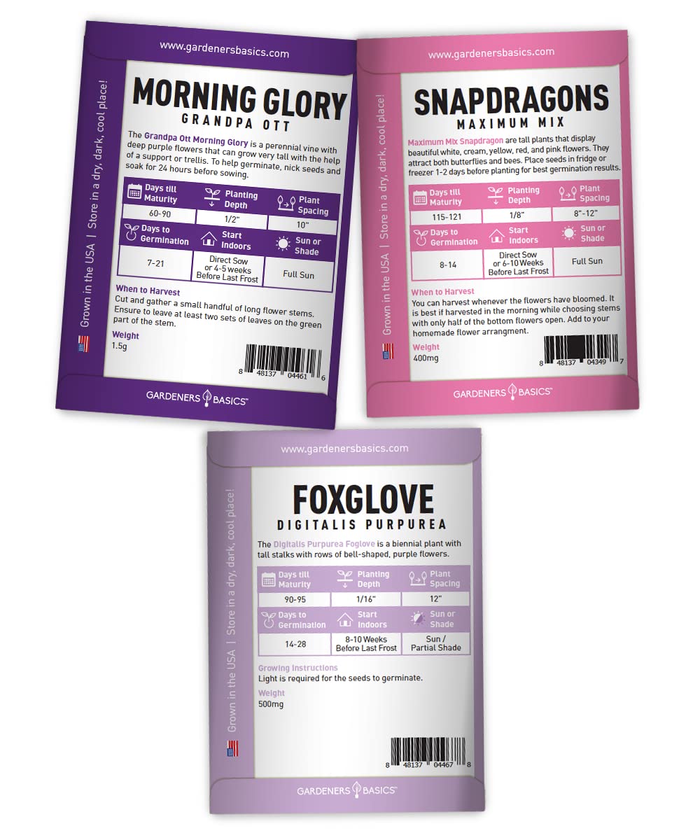 Gardeners Basics lupine russel strain mix seeds ready to sow for spring color.