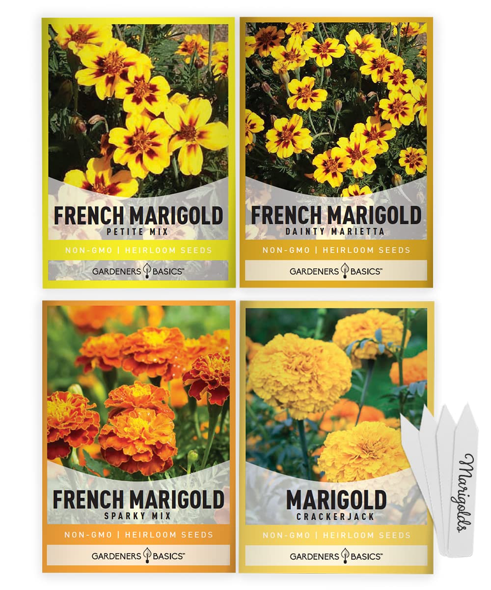 Gardeners Basics marigold seeds four-variety packet ready for planting, color, and pollinator-friendly blooms
