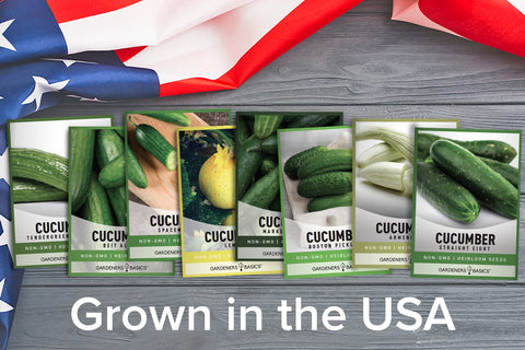 Gardeners Basics Marketmore 76 cucumber seeds for reliable outdoor garden yields.