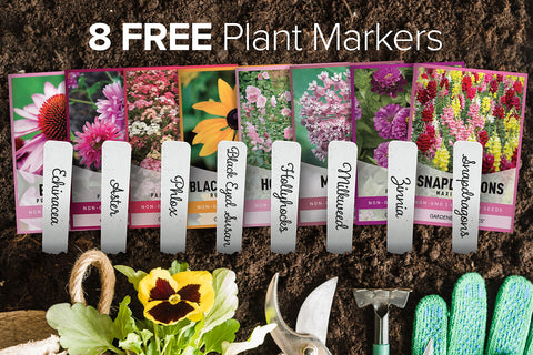 Gardeners Basics maximum mix snapdragons seeds with varied heights