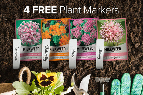 Gardeners Basics Milkweed Common Seeds for colorful, natural-looking beds.