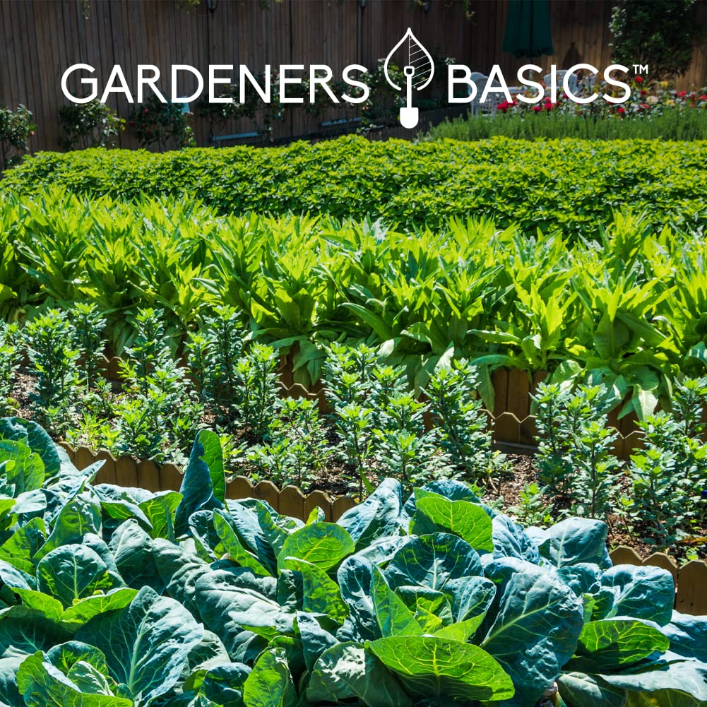 Gardeners Basics open-pollinated heirloom seeds you can save