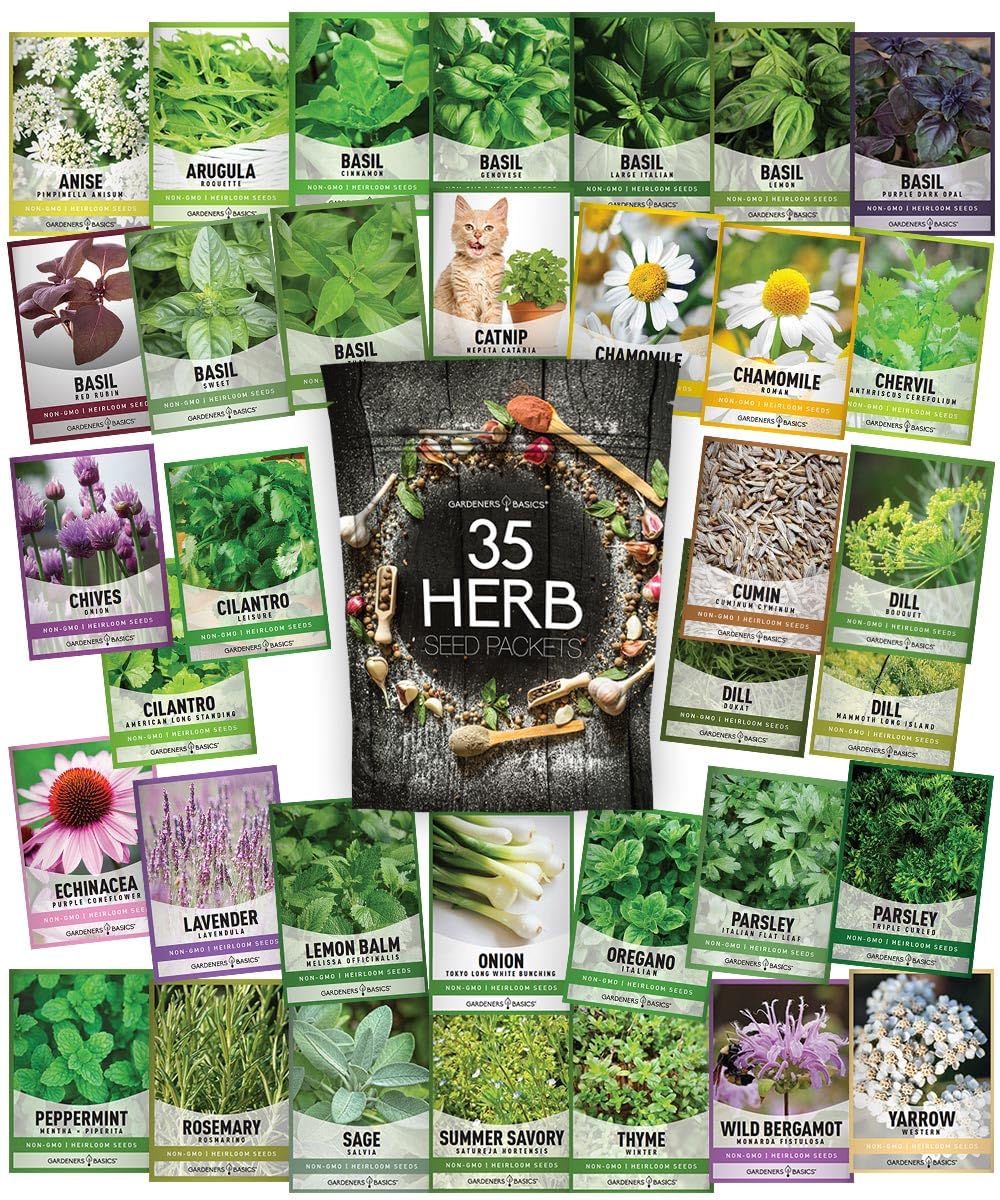 Gardeners Basics open-pollinated seeds close-up highlighting quality and viability