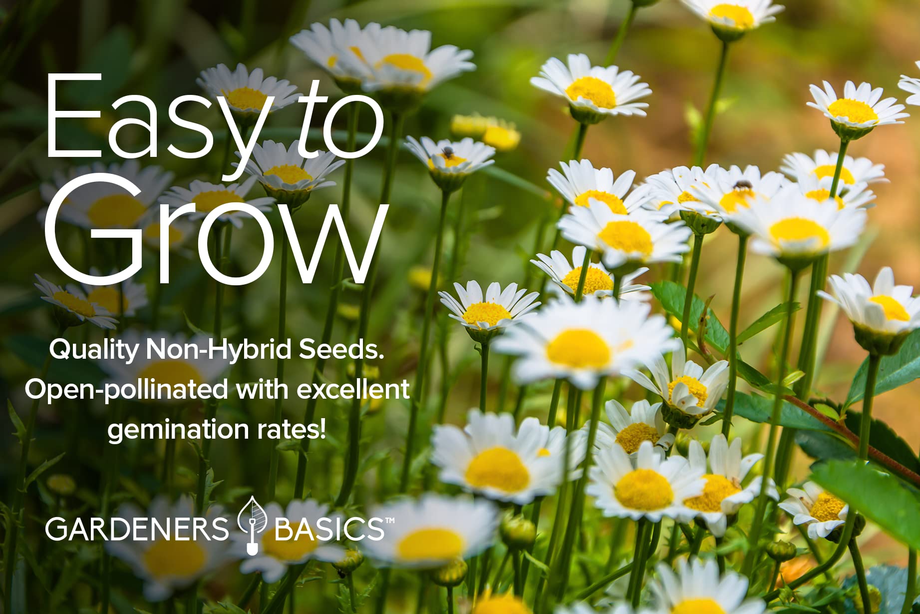 Gardeners Basics seed packets printed on water-resistant paper with growing directions.