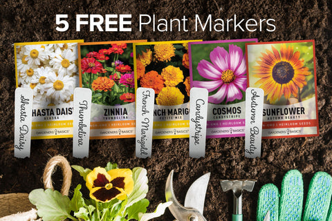 Gardeners Basics Petite Mix Marigold seeds offer varied shapes for borders.