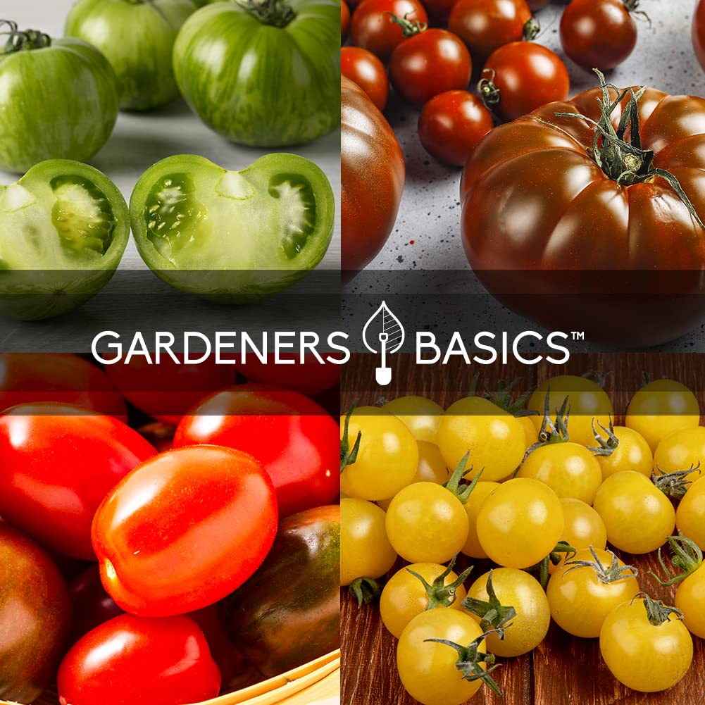 Gardeners Basics Pineapple seeds deliver sweet citrus notes.