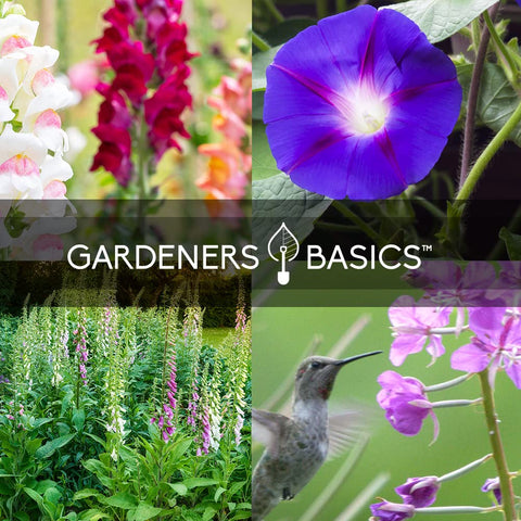 Gardeners Basics pollinator-friendly garden idea image showing mixed seeds attracting bees.