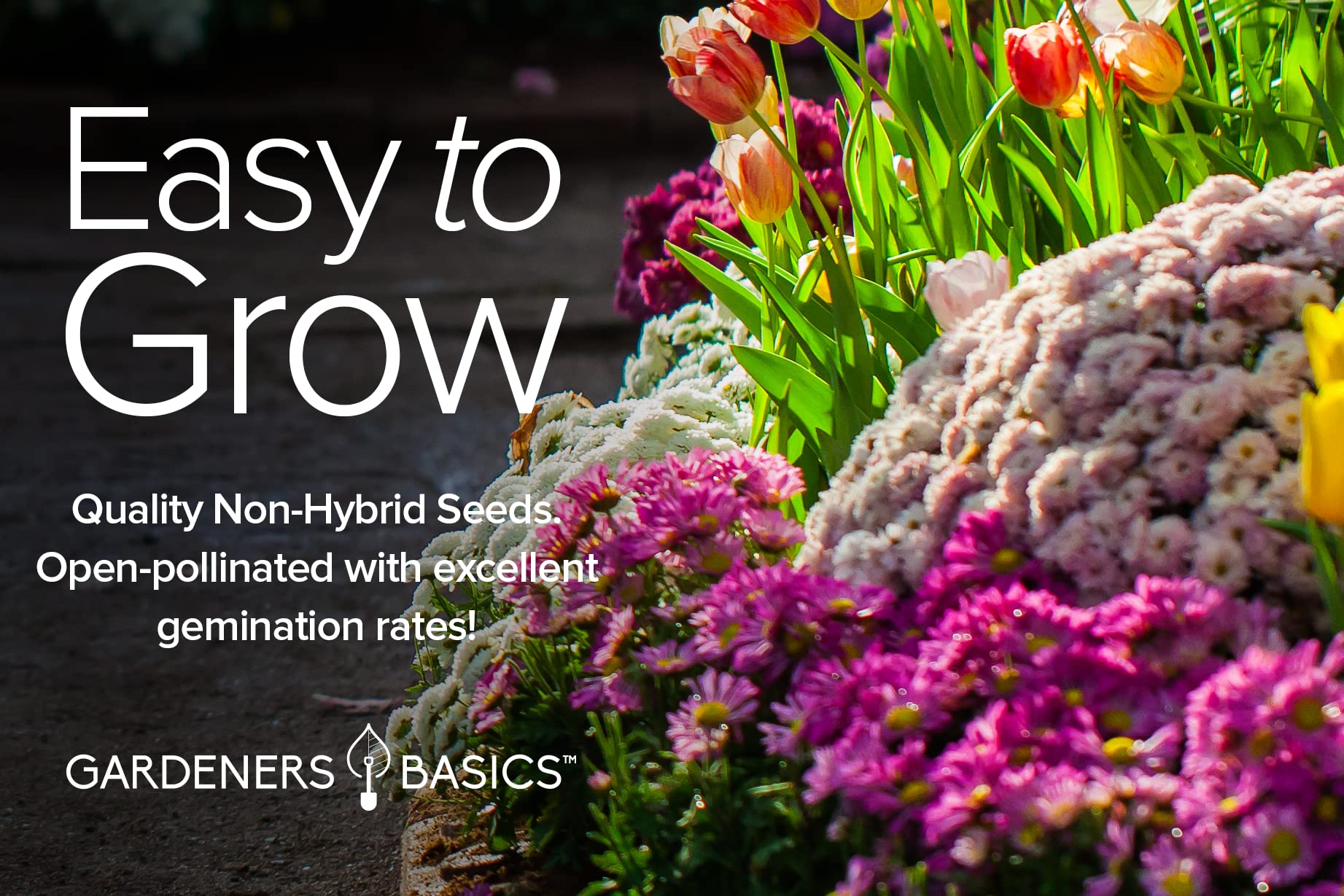 Gardeners Basics pollinator-friendly seeds attract bees and butterflies to the garden.
