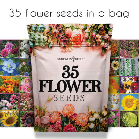 Gardeners Basics seeds support pollinators for bees and butterflies