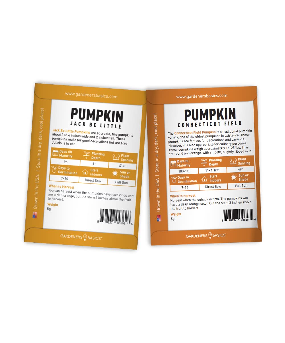 Gardeners Basics pumpkin seeds garden setup showing direct sow in outdoor beds.