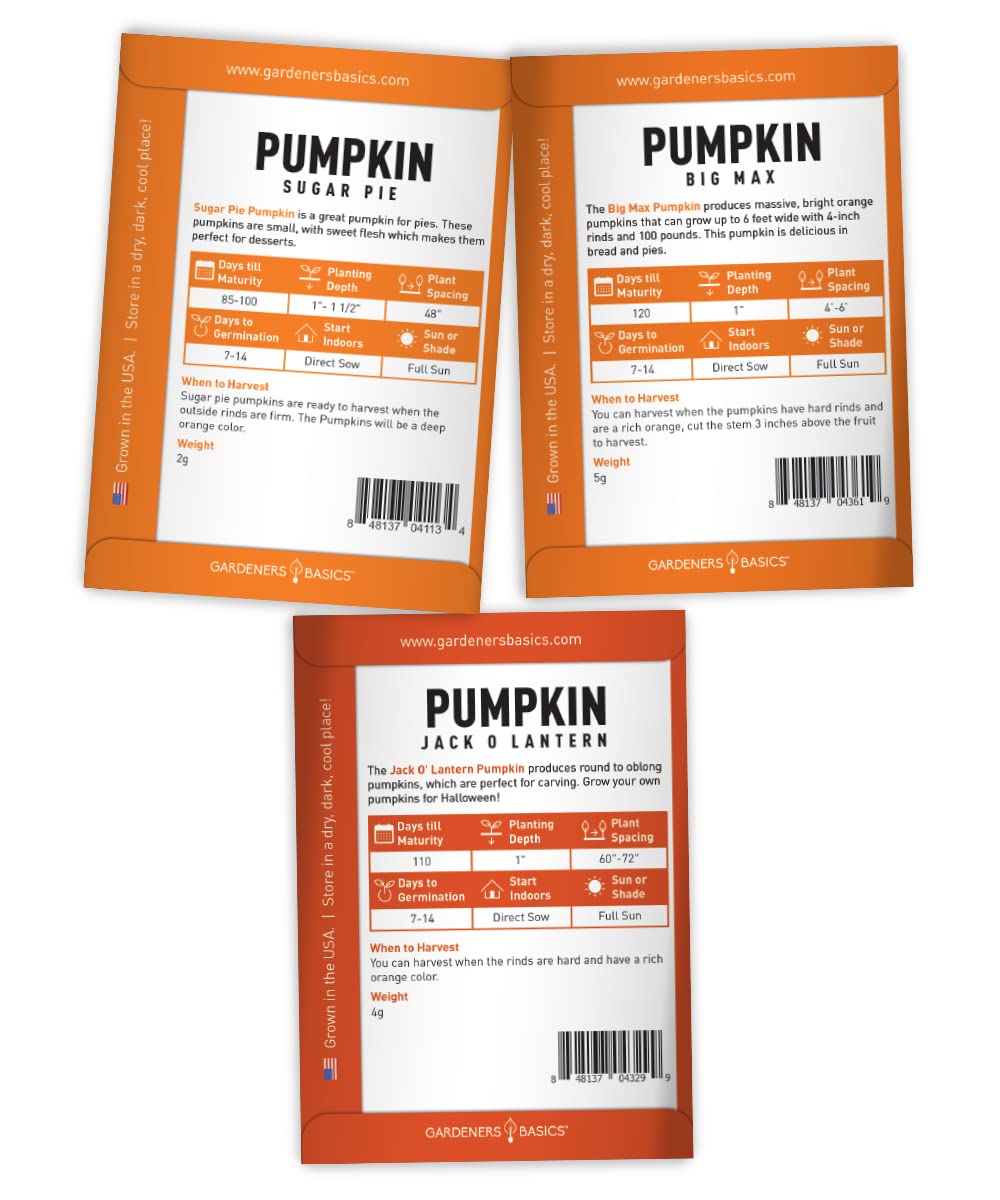 Gardeners Basics pumpkin seeds variety pack overview for versatile summer planting.
