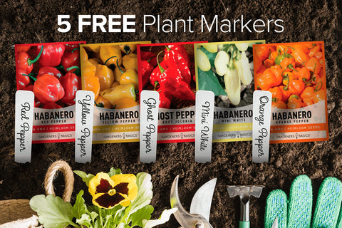 Gardeners Basics red habanero seeds for fiery garden peppers
