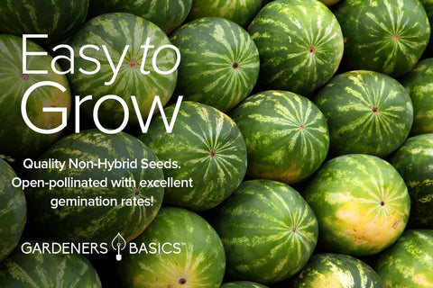 Gardeners Basics seed packet showcasing USA-grown heirloom seeds for reliable planting.