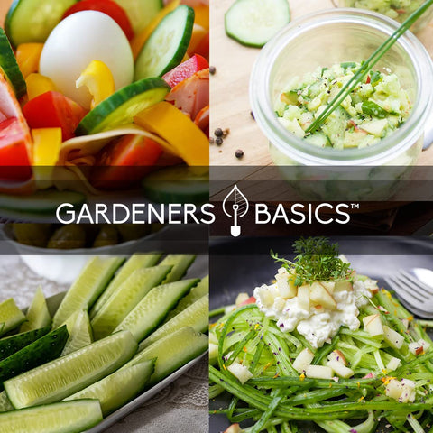 Gardeners Basics Spacemaster cucumber seeds for space-saving vines and patio growing.