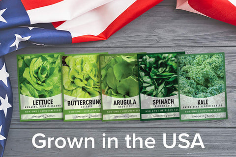 Gardeners Basics Spinach Bloomsdale seeds ready for crisp harvests