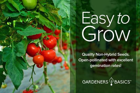 Gardeners Basics growing instructions guide beginners toward a successful harvest.