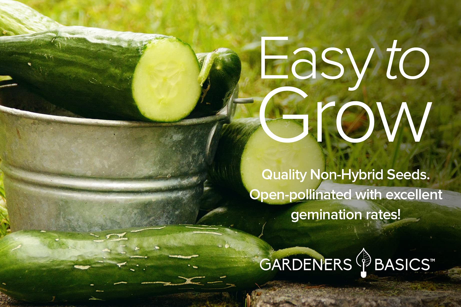 Gardeners Basics variety-pack cucumber seeds featuring five heirloom options