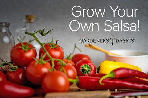 Gardeners Basics jalapeno seed packet for homemade salsa heat