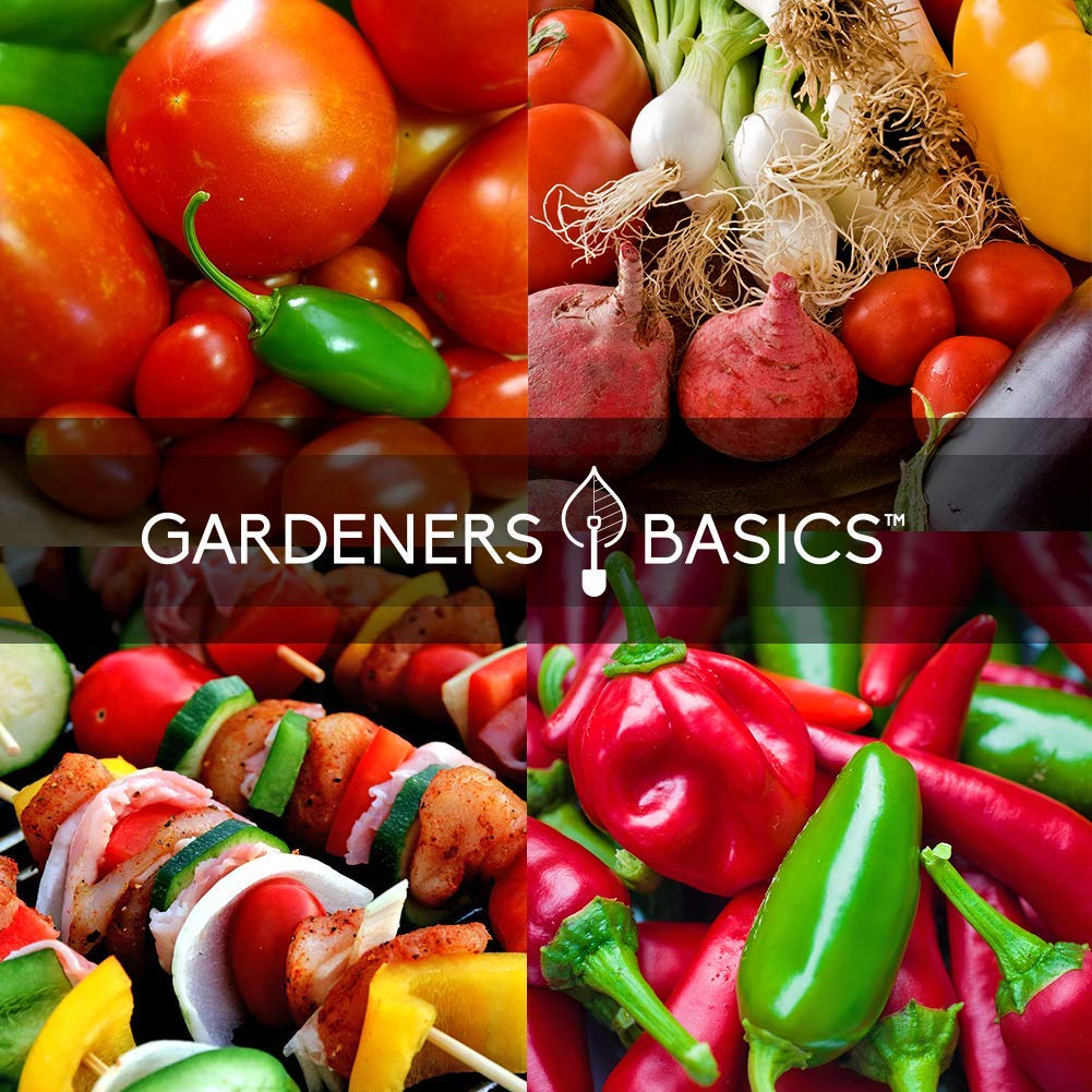 Gardeners Basics tomatillo seed packet for tangy salsa bases