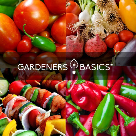 Gardeners Basics tomatillo seed packet for tangy salsa bases