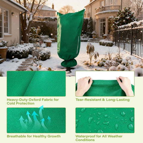GardenFlow covered roses and tomatoes in winter scenario