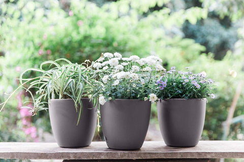 Gardenix Decor drainage-outlet design promotes healthy watering