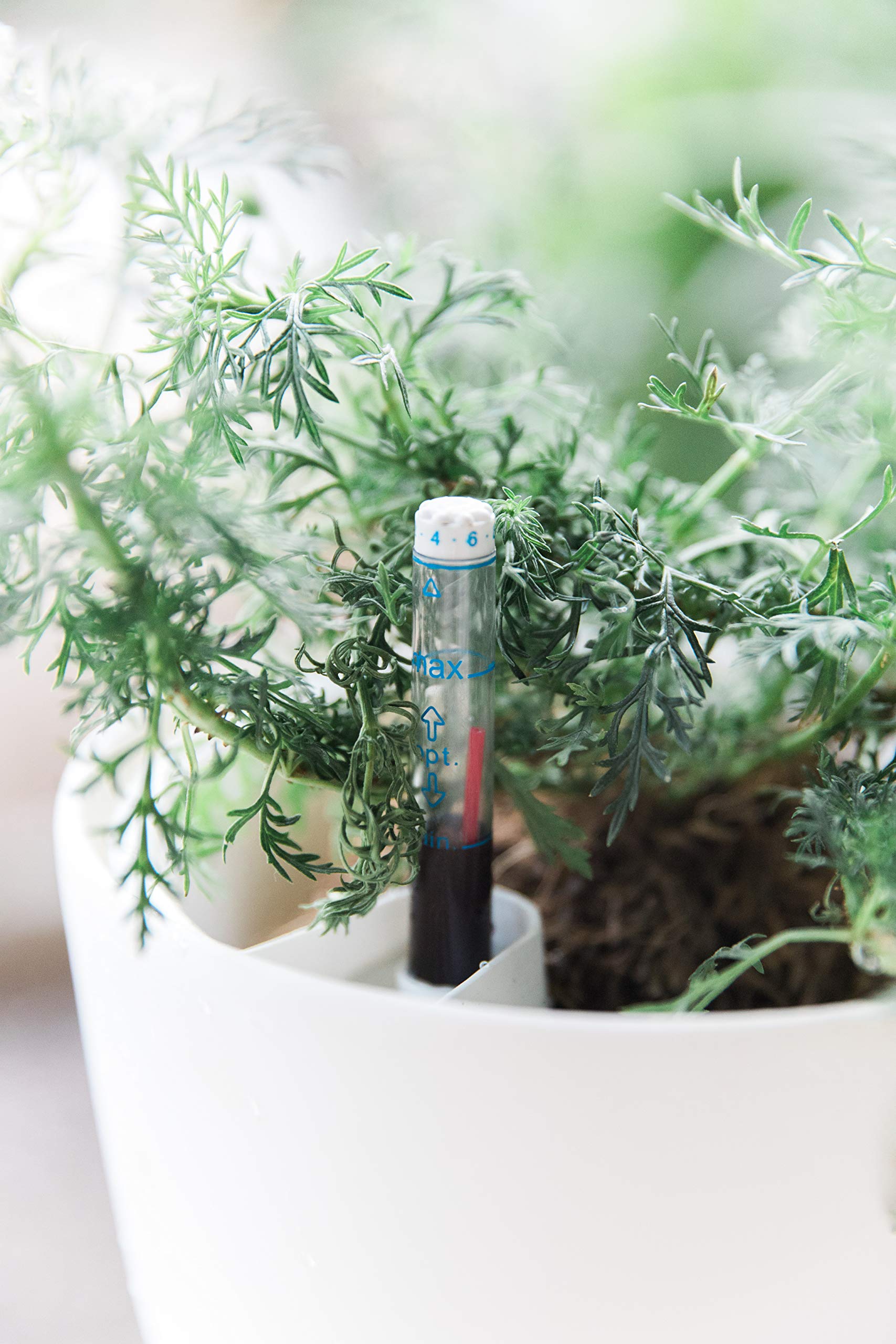 Gardenix Decor lifestyle indoor plant setup for home or office.