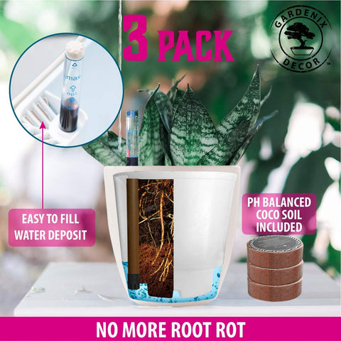 Gardenix Decor nested pot with legs keeps roots above water.