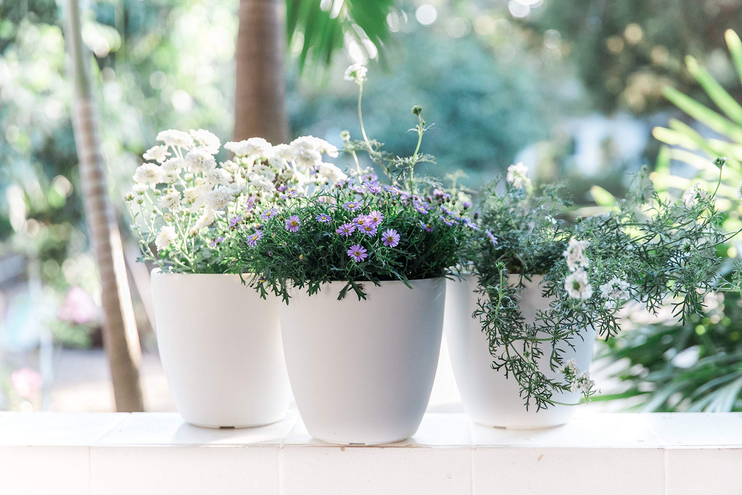 Gardenix Decor succulent-friendly self-watering pot for easy care.