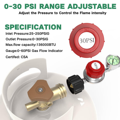 GardenNow gauge dial displays 0-60 psi for accurate flame tuning.