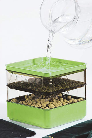 Gardens Alive seed sprouter transparent trays allow easy growth monitoring.
