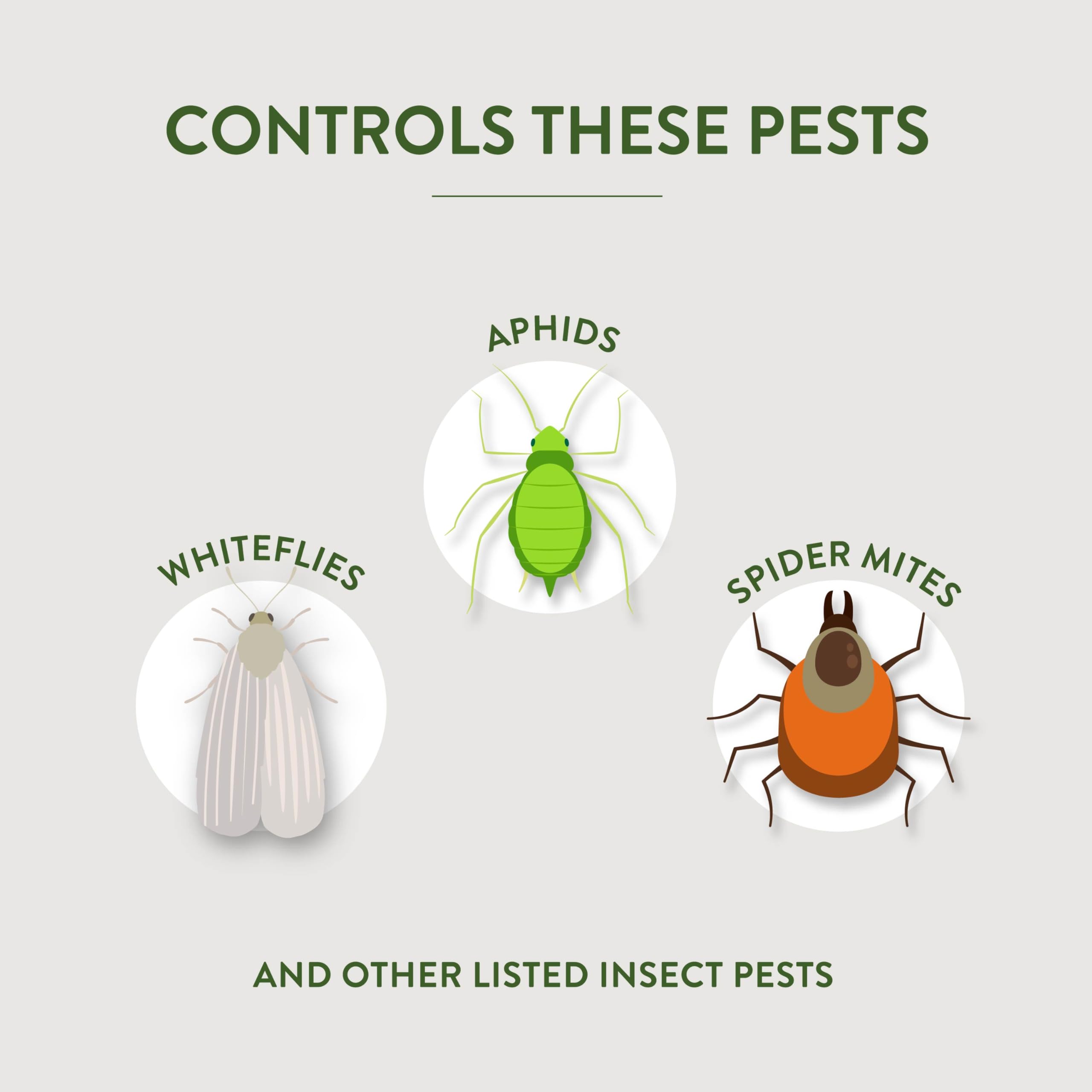 Garden Safe Fungicide 3 on fruits and vegetables protects edible crops.