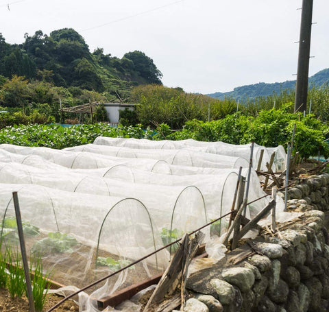 Garden Tailor UV-stabilized garden netting endures sun exposure for seasons