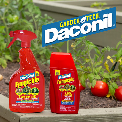 Rain-proof coverage on foliage protected by Gardentech Daconil.